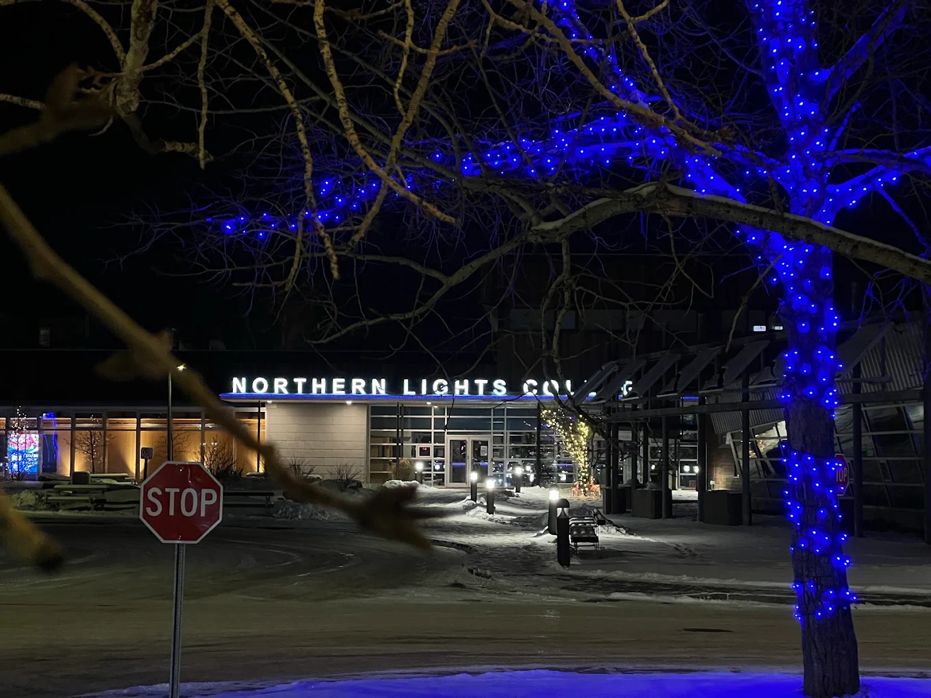 Northern Lights College Dawson Creek campus photo 1